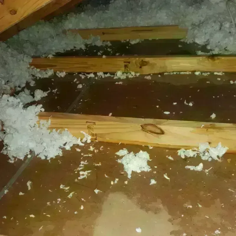 Attic Water Damage in Shoreacres, TX