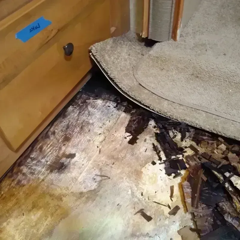 Wood Floor Water Damage in Shoreacres, TX